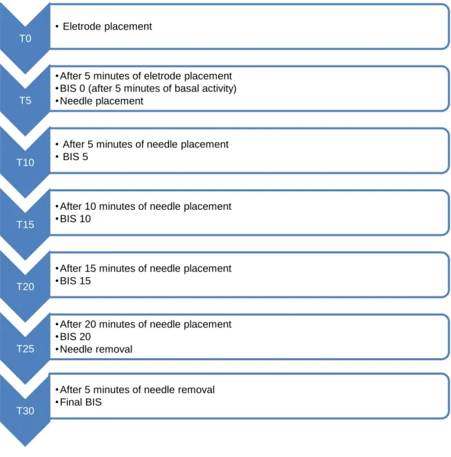 Figure 9 - Timeline for Acupuncture Session T0 