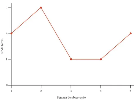 Gráfico nº1: Representação gráfica do registo das birras da Joana antes da intervenção 