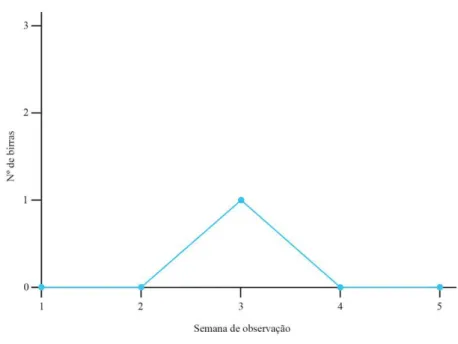 Gráfico nº2: Representação gráfica do registo das birras da Joana após a intervenção