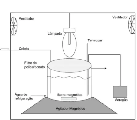 Figura 1S. Ilustração do aparato experimental utilizado nos ensaios de fotocatálise