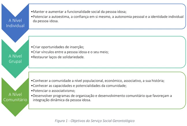 Figura 1 - Objetivos do Serviço Social Gerontológico