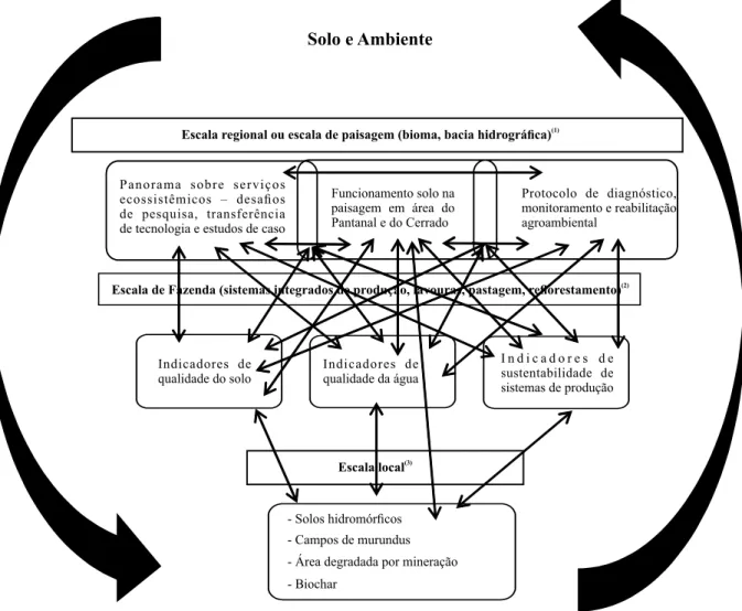 Figura 4. Temas abordados na seção Solo e Ambiente e suas conexões. Temas:  (1) Escala regional ou escala de paisagem  (bioma, bacia hidrográfica)