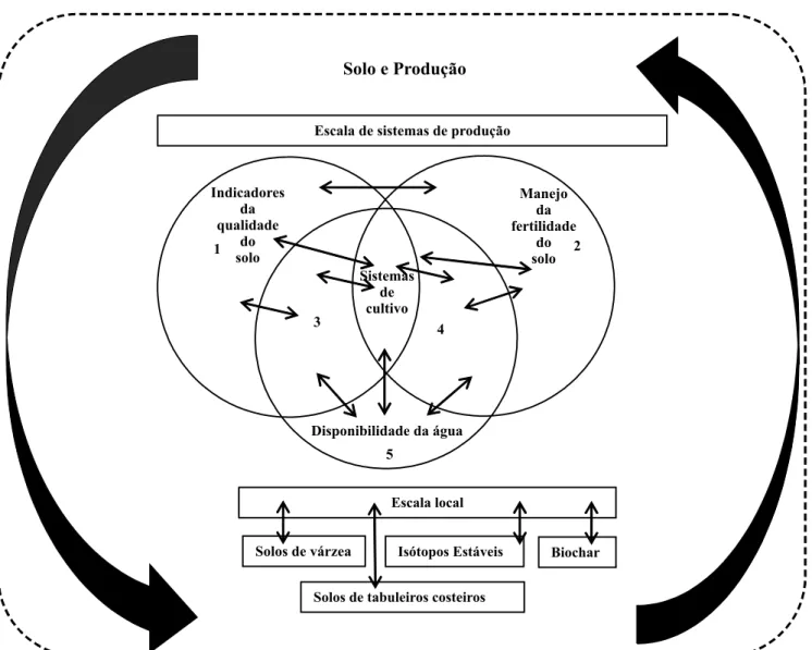 Figura 6. Temas abordados na seção Solo e Produção e suas conexões. Temas: 1, indicadores de qualidade do solo (físicos,  químicos e bilógicos); 2, manejo da fertilidade do solo; 3, interface entre os temas abordados em 1 e 5; 4, interface entre os  temas 