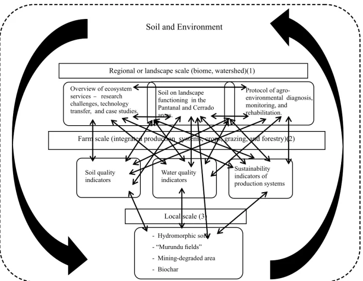 Figure 4. Themes addressed in the section Soil and Environment and their connections. Themes: 1, regional or landscape  scale (biome, watershed); 2, farm scale (integrated production systems, crops, grazing, and forestry); and 3, local scale.