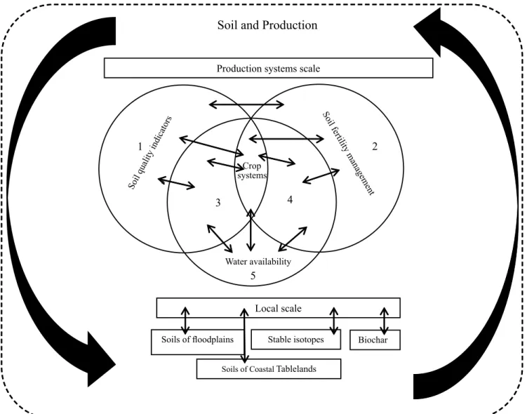 Figure 6. Themes addressed in the section Soil and Production and their connections. Themes: 1, soil quality indicators  (physical, chemical, and biological); 2, soil fertility management; 3, interface between the topics addressed in 1 and 5; 4,  interface