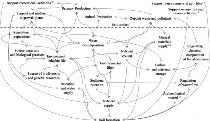 Figure 1. The soil ecosystem functions and their interrelations.  (1) Non ecological functions.