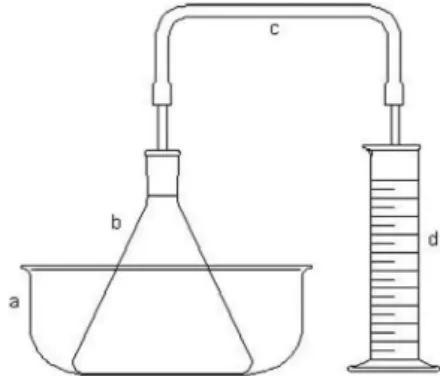 Figura 1. Aparelhagem montada para fermentação do caldo de cana-de- cana-de--açúcar contendo banho-maria (a), erlenmeyer de 500 mL (b), mangueira  de silicone com tubos de vidro nas extremidades, um deles inserido no  er-lenmeyer através da rolha furada e 