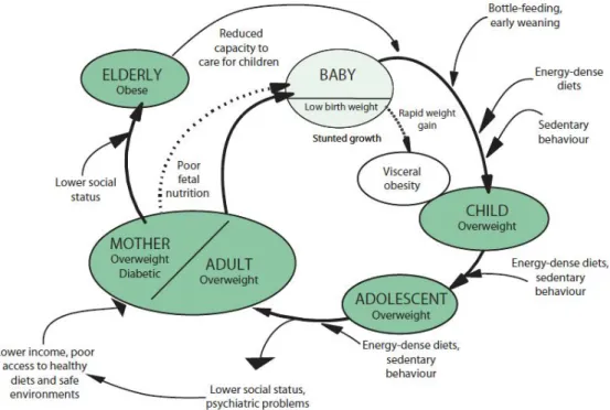 Figure 1. Risk factors for obesity (5). 