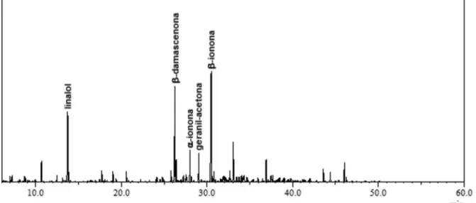 Figura 4S. Espectro de massas da b-ionona obtida através do software GC-Solution dos extratos voláteis de D