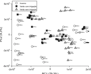 Figura 3. Gráfico de loadings (CP1 versus CP2) das amostras de Lippia  gracilis