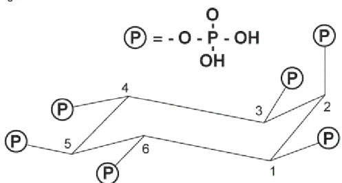 Figura 3. Ilustração do complexo formado pela molécula de fitato com proteínas  e cátions