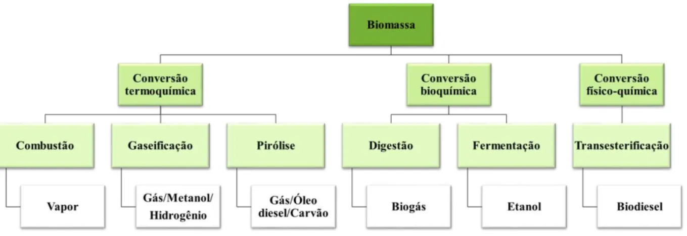 Figura 1 - Conversão da biomassa em calor, energia elétrica e biocombustíveis. 