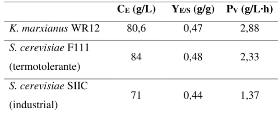 Tabela 2 - Parâmetros operacionais obtidos em cultivos em frascos agitados utilizando  leveduras termotolerantes e convencional