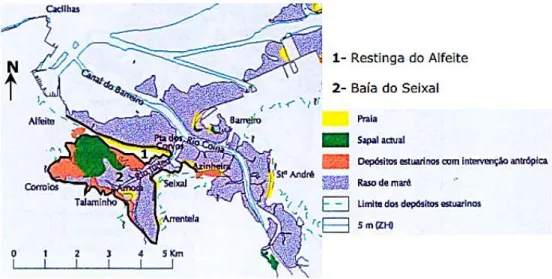 Figura 6: Elementos morfo-sedimentares da região da baía do Seixal. Fonte: Freire (1999) 