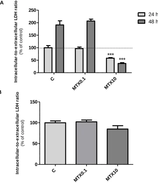 Figure 8 - Cell viability in preadipocytes (A) and adipocytes (B) after treatment with methotrexate