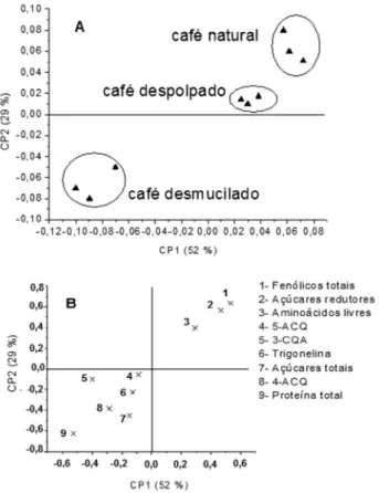 Figura 7. Gráficos de (A) escores e (B) pesos (loadings), obtidos pela ACP  para discrimar as amostras de café arabica por tipo de pré-processamento,  utilizando parâmetros da composição química
