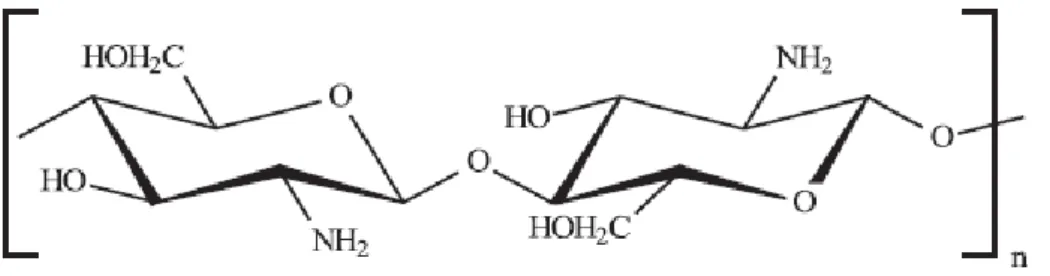Figura 5. Representação da estrutura da quitosana, n é o grau de polimerização. 