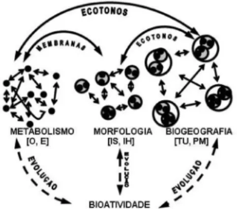 Figura 2. Diagrama representando a conectividade entre substâncias (meta- (meta-bolismo), formas (morfologia), biomas (biogeografia) e funções (bioatividade)