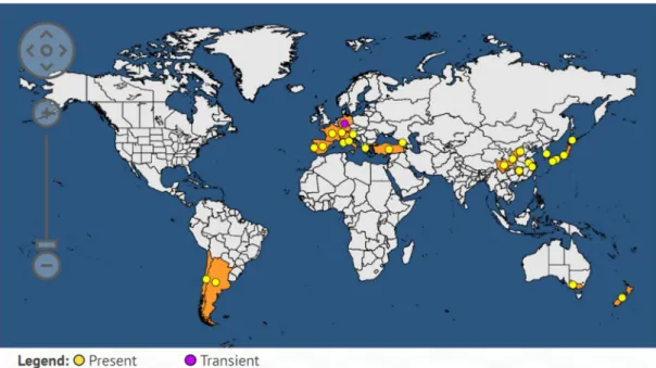Figure 4: World distribution map of Pseudomonas syringae pv. actinidiae in 2019 (EPPO, 2019)