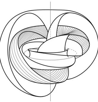 Figure 1.5: The 1-dimensional foliations of S 3 (via stereographic projection) diﬀeomorphic to S 1 