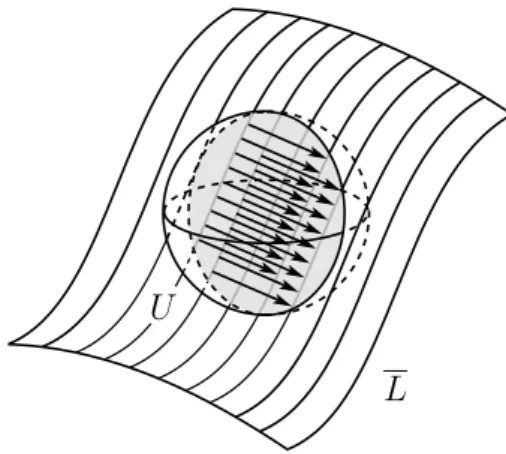 Figure 1.7: The orbits of the Molino sheaf are the closures of the leaves foliation in the terminology of H