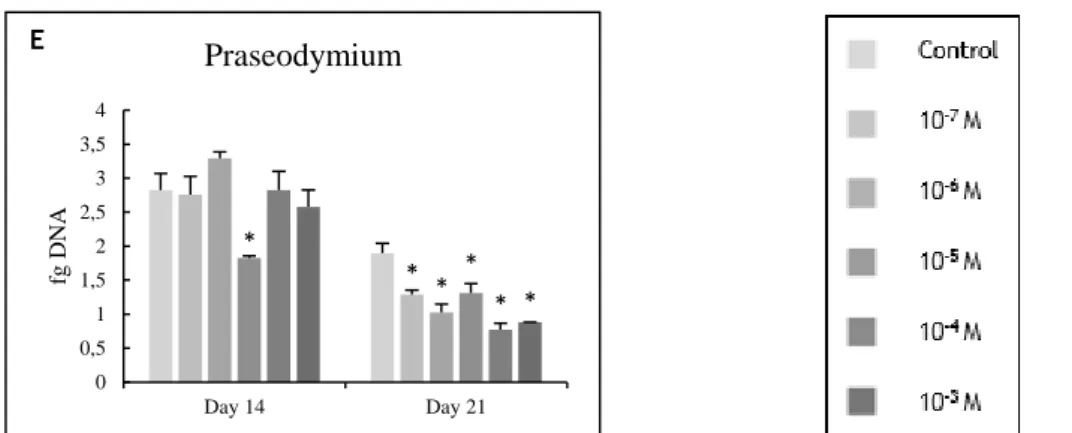 Figure 3.10 - DNA content of PBMCs cultured in the presence of zinc, magnesium (A and B) and lanthanides  (C to E) at days 14 and 21 of culture