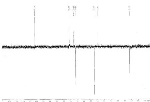 Figura 4S. Espectro de RMN  13 C-DEPT 135° [125 MHz, (CD 3 ) 2 CO] de 3 (miopoclorina)