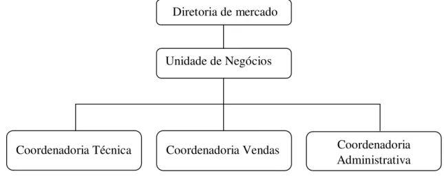 Figura 6 - Representação da unidade de negócios dentro da diretoria de mercado 