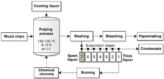 Figure 2. Process diagram of acidic sulphite pulping with spent sulphite liquor release