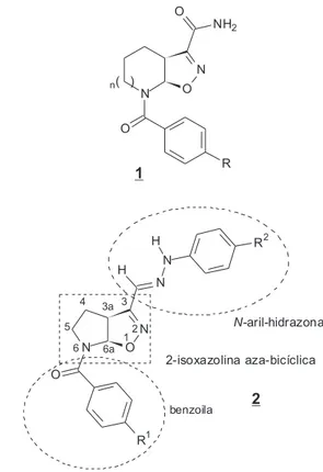 Figura  1.  3-carboxamidas  e  derivados  híbridos  hidrazona/2-isoxazolina  aza-bicíclica