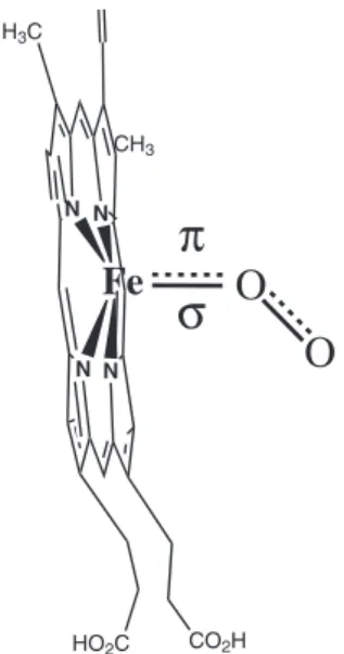 Figura 4. Representação da histidina E7, distal, proporcionando estabilidade  à ligação Fe-O 2  através da formação de uma ligação de hidrogênio entre o  NH do imidazol e o oxigênio molecular