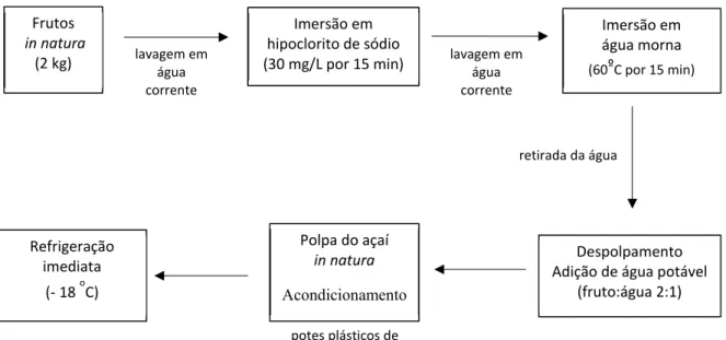 FIGURA  0.2  -  Protocolo  de  extração  da  polpa  dos  frutos  de  açaí  na  Embrapa  Amazônia Oriental (Belém – PA)
