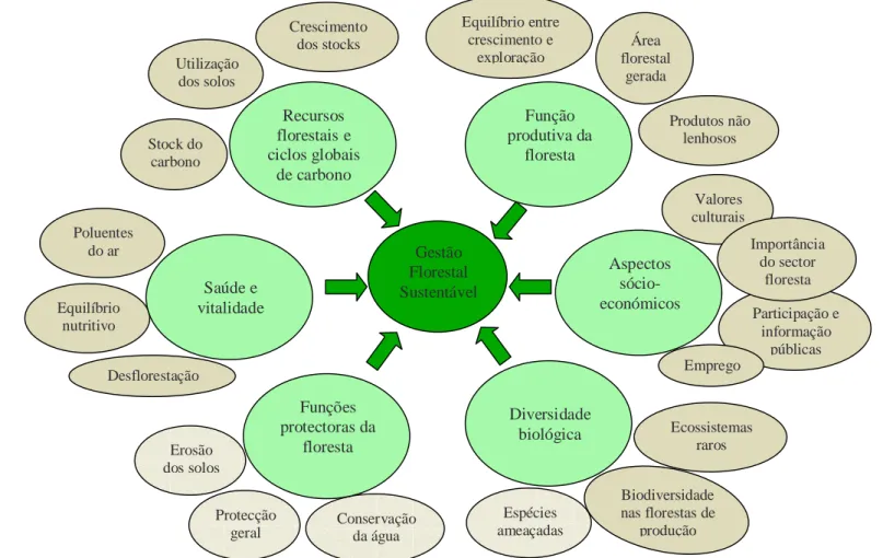Figura  4.1 – Critérios e indicadores exemplares de gestão sustentável da floresta 