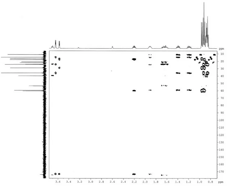 Figura 5S. Mapa de contornos HMBC (D 2  O) do composto 6