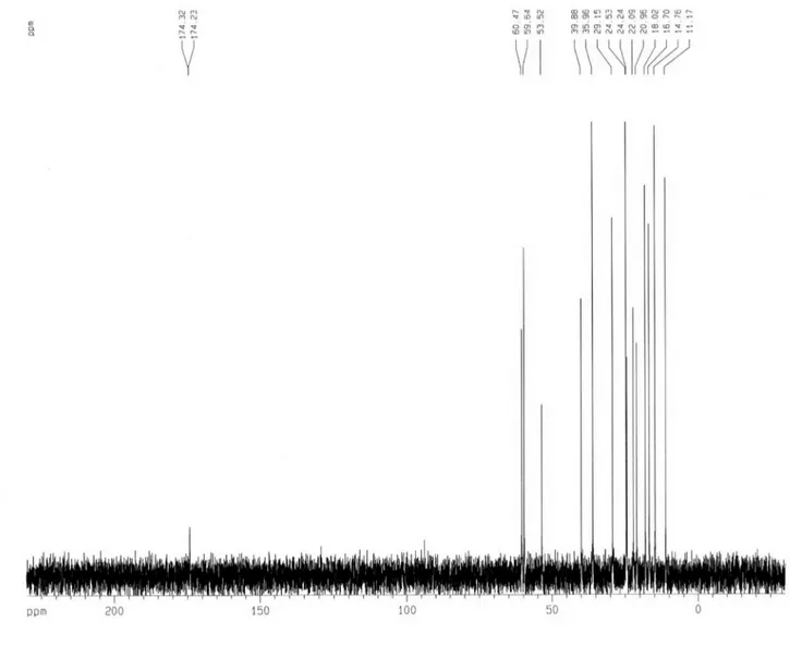 Figura 2S. Espectro de RMN  13 C (500 MHz, D 2  O) do composto 6
