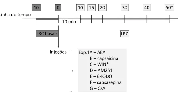 Figura 2: linha do tempo do Experimento 1. 