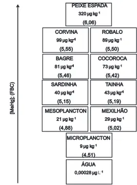 Figura 1. Concentração média de metilmercúrio na água e na biota da Baía  de Guanabara e entre parênteses o fator de bioconcentração (FBC), que está  expresso em unidade logarítmica: log 10 ([MeHg] biota / [MeHg] água )