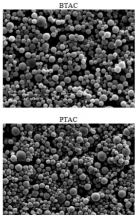 Figura  4.  Microscopias  eletrônicas  de  varredura  para  as  micropartículas  produzidas:  BTAC  (micropartículas  vazias)  e  PTAC  (micropartículas  com  paracetamol) 3000X