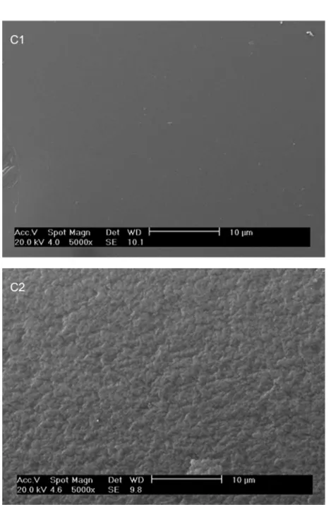 Figura 1S. Micrograias de microscopia eletrônica de varredura dos copolímeros C1 e C2