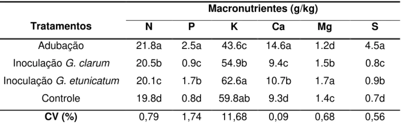 Tabela 8: Teor de macronutrientes da parte aérea, aos 90 dias, considerado os  diferentes tratamentos empregados aos porta-enxertos