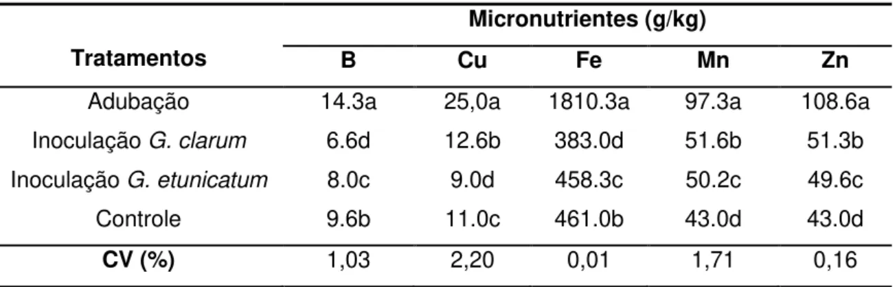 Tabela  10:  Teor de micronutrientes da parte aérea, aos 90 dias, considerado  os diferentes tratamentos empregados aos porta-enxertos
