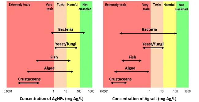 Figure 10. Hazard of AgNPs (a) and bulk form (AgNO 3 ) for different organisms. Ranging was obtained  using  the  median  of  LC 50   (concentration  causing  mortality  for  50%  of  the  organisms)  or  EC 50 (concentration causing  effect  for 50% of th