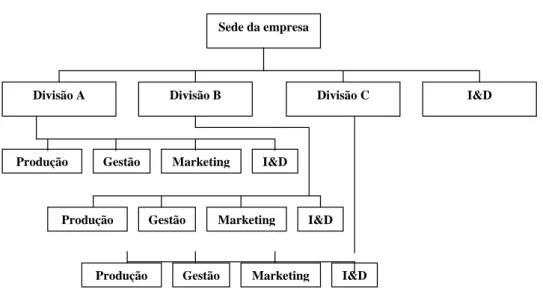 Fig. 1.4 – Estrutura organizacional multi-divisões 