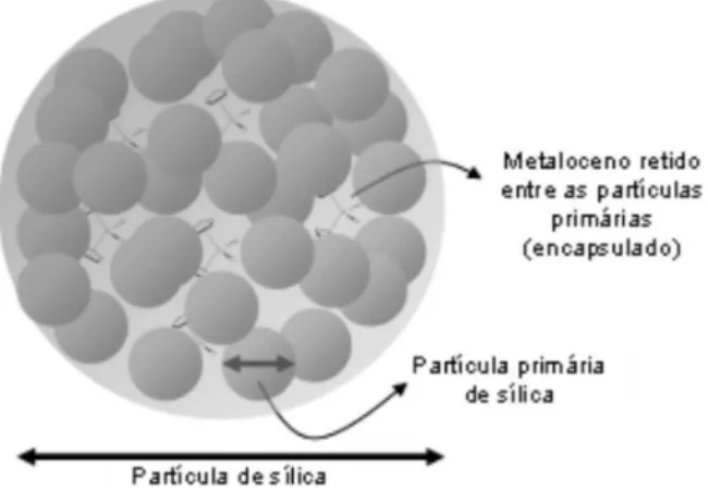 Figura 6. (a) Espécie ativa altamente eletrofílica formada na imobilização  do metaloceno sobre suportes ácidos