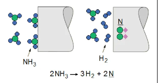 Figura 2.33. Ilustração esquemática do processo de transferência de nitrogênio  para a superfície das amostras [16]