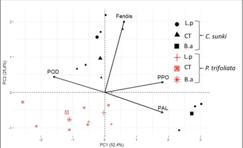 Figura  1  -  Biplot  da  análise  de  componentes  principais  (PCA),  realizada  a  partir  da  matriz  de  correlações  entre  os  tratamentos  e  os  porta-enxertos,  Citrus  sunki  e  Poncirus  trifoliata  sem  inoculação  do  patógeno