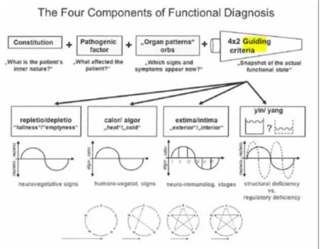 Figure 3 - Functional Diagnose according to the HMCM (Greten 2012)