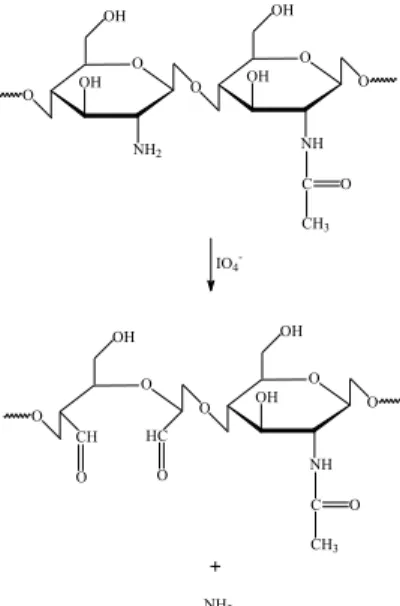 Figura  4.  Mecanismo  de  oxidação  por  periodato  dos  grupos  amino  da  quitosana