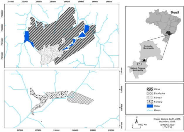 Figura 3. Áreas de amostragem localizadas no sudeste do Brasil. O pomar de citros e a floresta a ele adjacente,  Floresta 1, estão localizados no município de Sorocaba (23 o  34’ 35,76” S; 47 o  30’ 58,95” O e 23 o  34’ 14,21” S; 