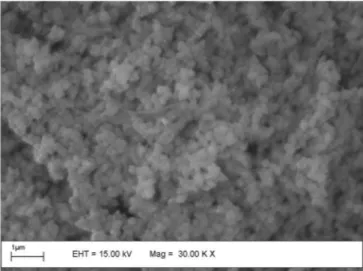 Figura 7. Microscopia eletrônica de varredura da amostra SGSiDBMaumento na faixa de proteção, atenuando-se até a região visível do 